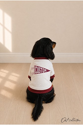 CUSTOM PENNANT SWEATSHIRT PET SWEATSHIRT 