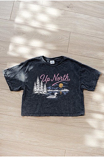UP NORTH CROPPED MINERAL GRAPHIC TOP