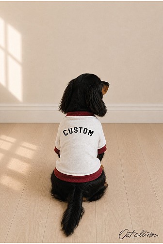 CUSTOM VARSITY SWEATSHIRT PET SWEATSHIRT 