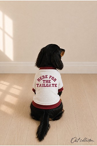 HERE FOR THE TAILGATE PET SWEATSHIRT 