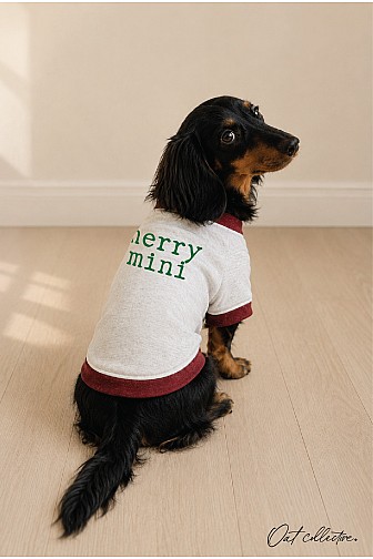 MERRY MINI PET SWEATSHIRT 