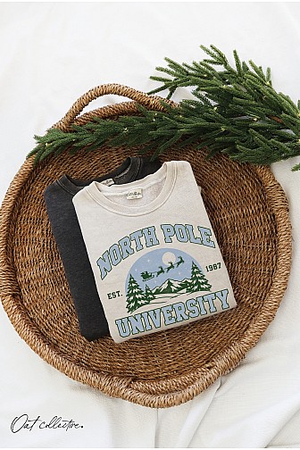NORTH POLE UNIVERSITY EST 1987 MINERAL GRAPHIC SWEATSHIRT