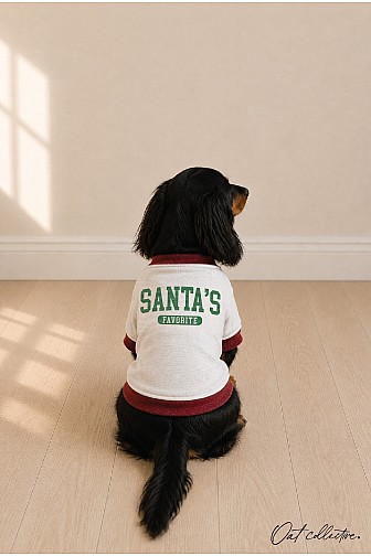 SANTA'S FAVORITE PET SWEATSHIRT 